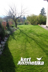 Kertépítés után Budaörsön (44)